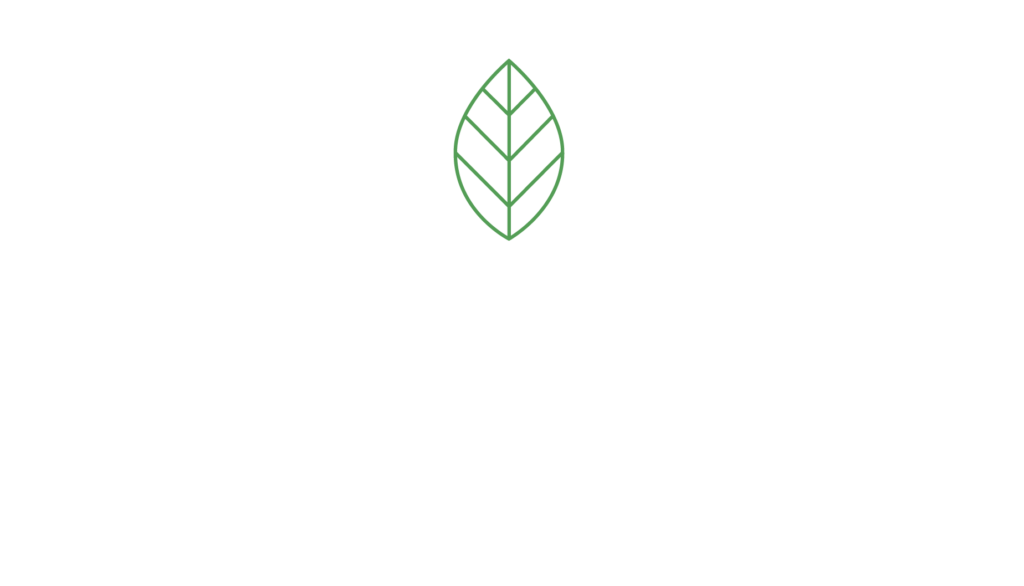 Vivarevos Wohnprojekte Mittendrin